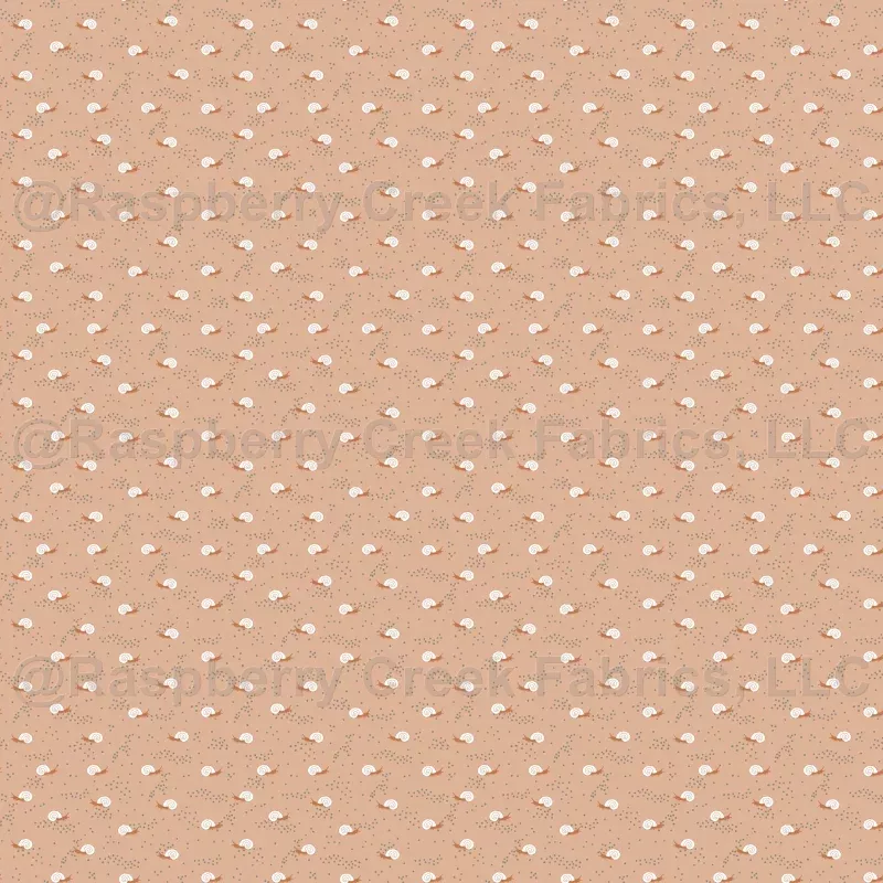 Snails Pale Peach