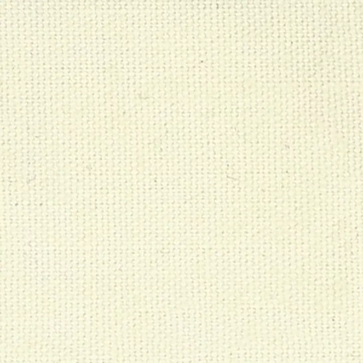 Solid Lyocell Cotton Broadcloth Poplin A009327 – Ivory 41N