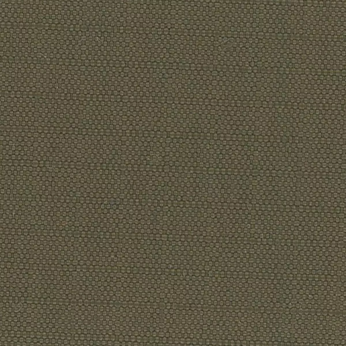 Solid Stretch Crinkled DWR Polyester Performance Ripstop A033510 – Olive Green 51