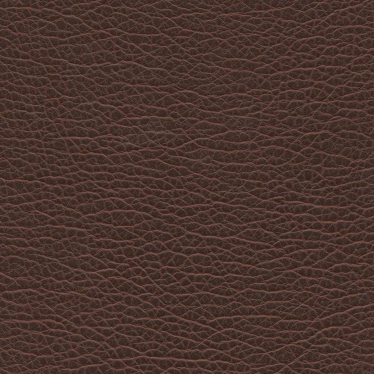 Split Split-66 Fabric