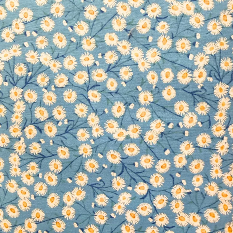 Springtime Daisies Blue