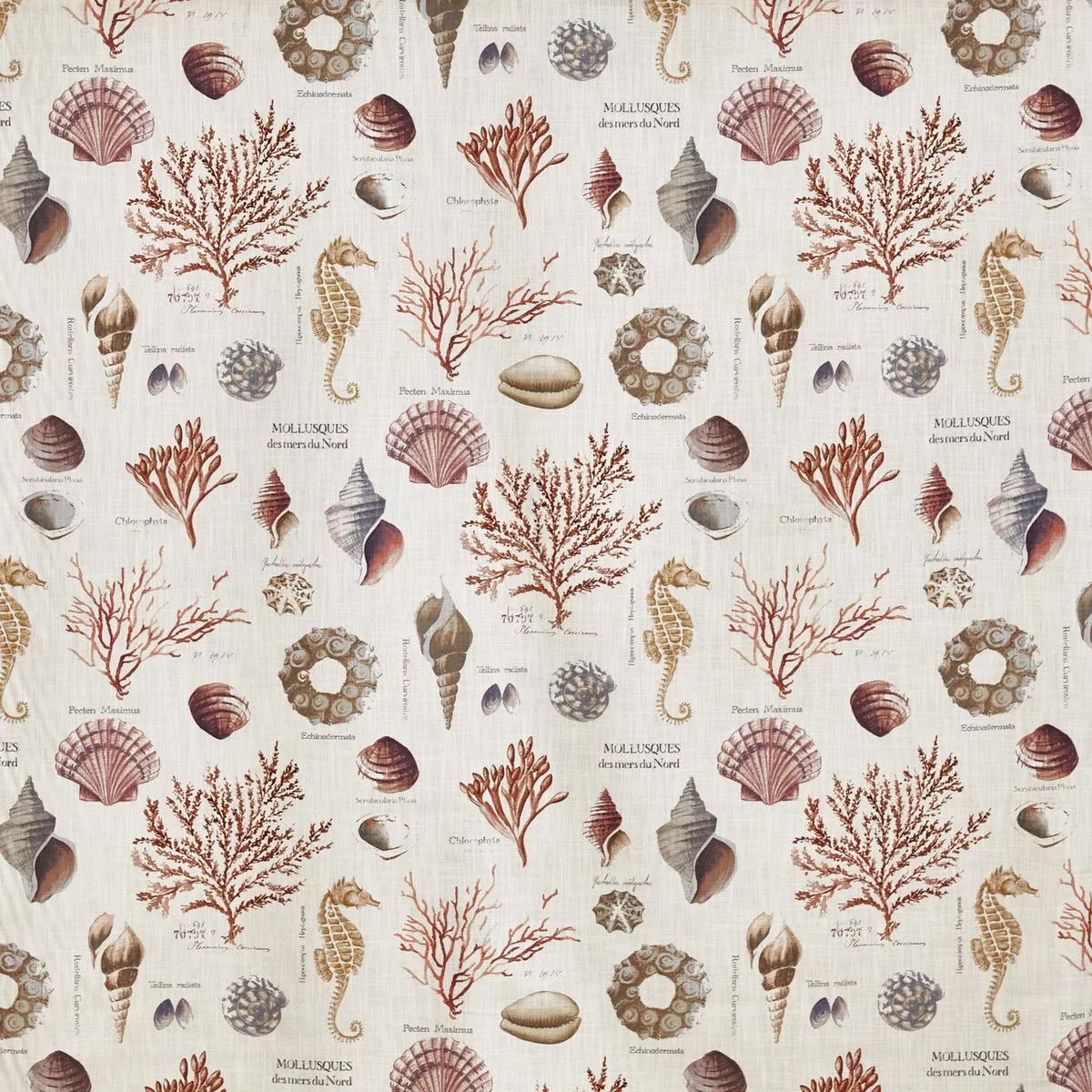 St Helier – Coral | Order A Sample
