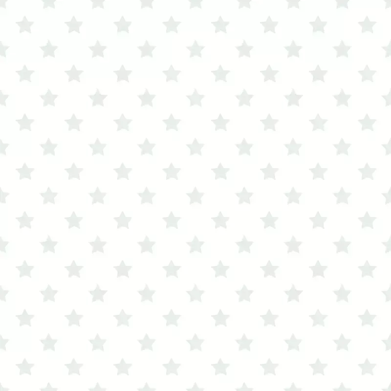 Stars Basics Fabric – Silver on White