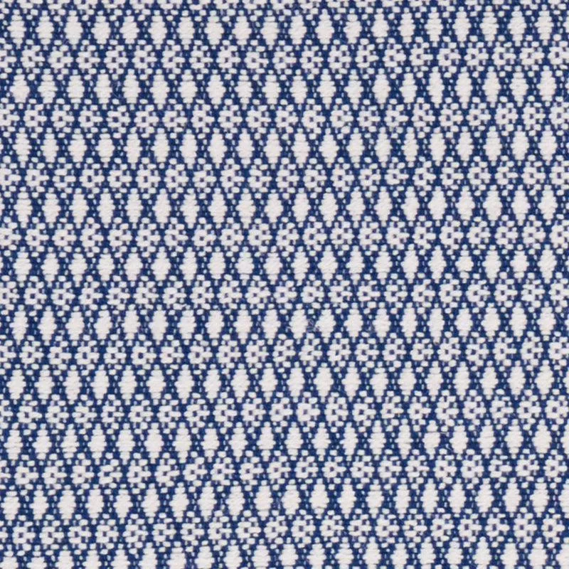 ZOILA | Blue